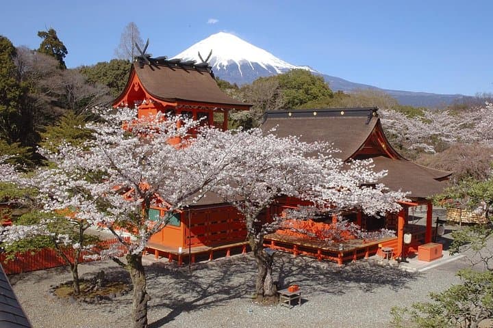 Mt Fuji & Shizuoka Wasabi Tour: Hokusai Train, Shrines & Waterfalls photo 3