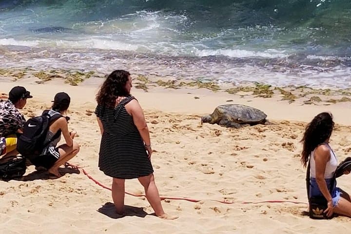 Private Oahu East Coast & North Shore Custom Tour — Waikiki to Dole Plantation photo 4