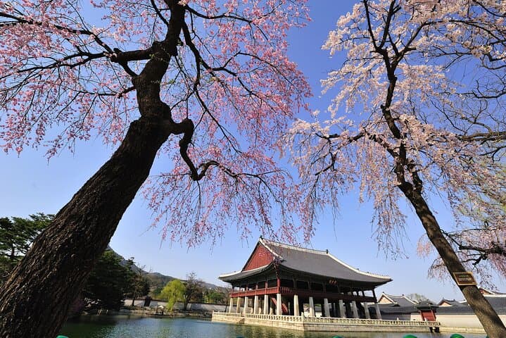 Highlights of Seoul: Full-Day Cultural Tour of Palaces, Markets & City Views photo 2