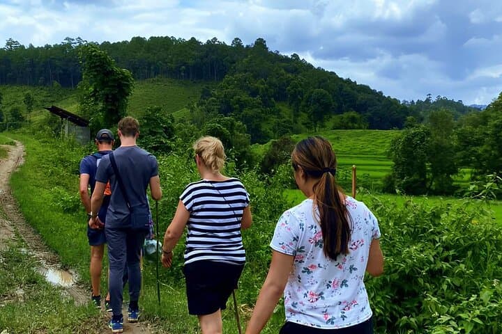 3-Day Mae Wang Jungle Trek: Waterfalls, Karen Village & Bamboo Rafting photo 4