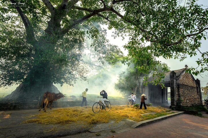 Exploring Duong Lam Ancient Village: Private Day Trip from Hanoi photo 4