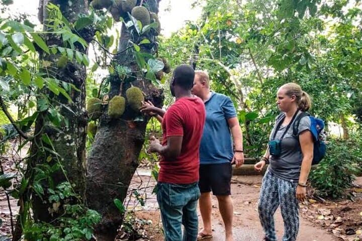 Zanzibar Private 5-Day Minivan Tour — Beaches, Dolphins & Spice Island Highlights photo 6