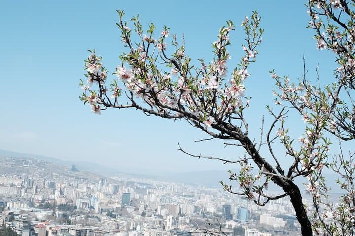 Tbilisi Old Town Walking Tour: Iconic Landmarks & Hidden Gems photo 6