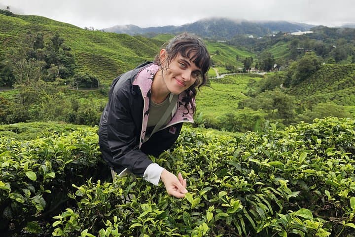 Full-Day Cameron Highlands Tour from Ipoh: Tea Plantations, Markets & Waterfalls photo 2
