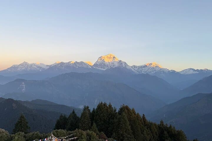 Poon Hill and Mardi Himal Trek: Sunrise Annapurna Views and Forested High Camps