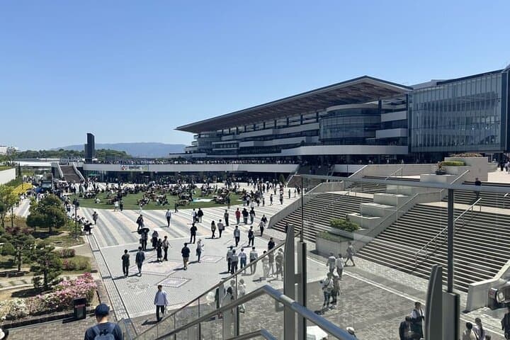 Nakayama Racecourse: Tokyo Horse Racing Tour with Local Fans photo 5