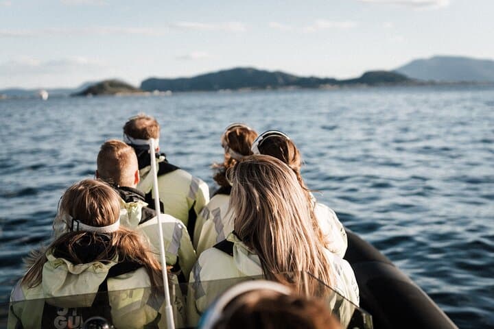 RIB Coastal Safari from Ålesund: High-Speed Island Tour & Wildlife Viewing