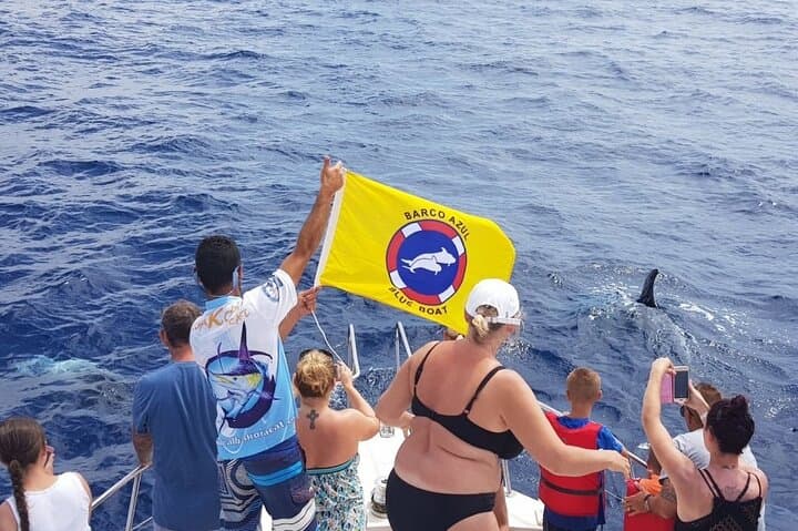 Caleta de Fuste Dolphin-Watching Cruise — Spot Dolphins, Pilot Whales & Coastal Views photo 1