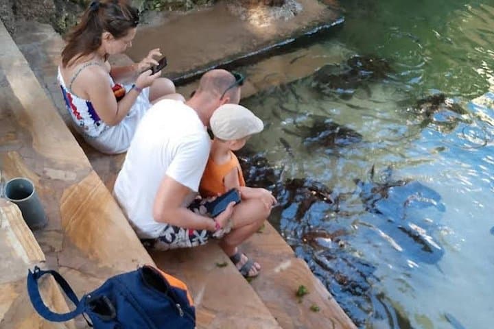 Swim with Sea Turtles at The Lagoons Zanzibar — Guided Conservation Experience in Nungwi photo 2