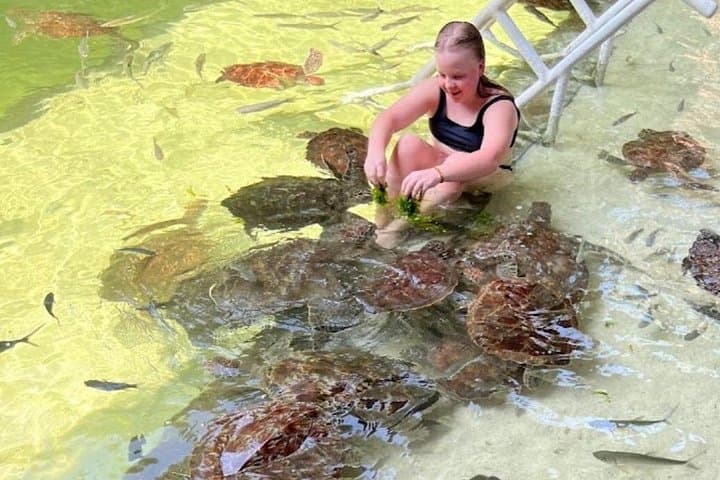 Swim with Sea Turtles at The Lagoons Zanzibar — Guided Conservation Experience in Nungwi photo 4