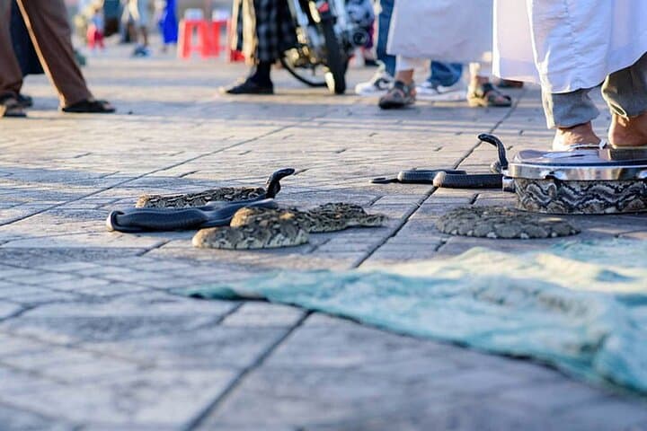 Private Guided Walking Tour of Marrakech Medina with a Local Expert photo 5