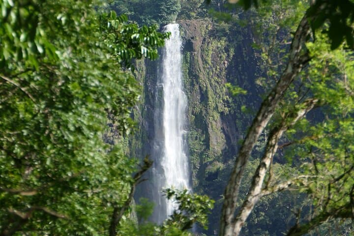 Customize Your Boquete Adventure: Private Half-Day Tour & Hike photo 3