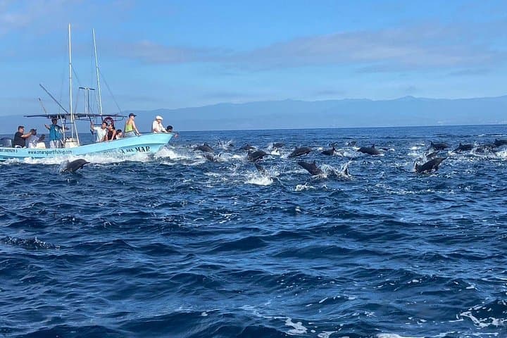 Morning Boat Tour from Puerto Escondido: Dolphins, Turtles, Rays & Whales