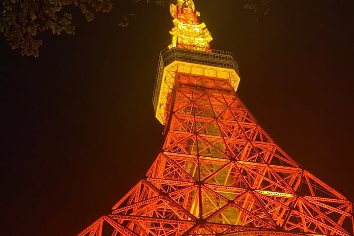Tokyo Night Tour — Customizable Neon Nights, Senso‑ji Peace & Odaiba Views photo 4