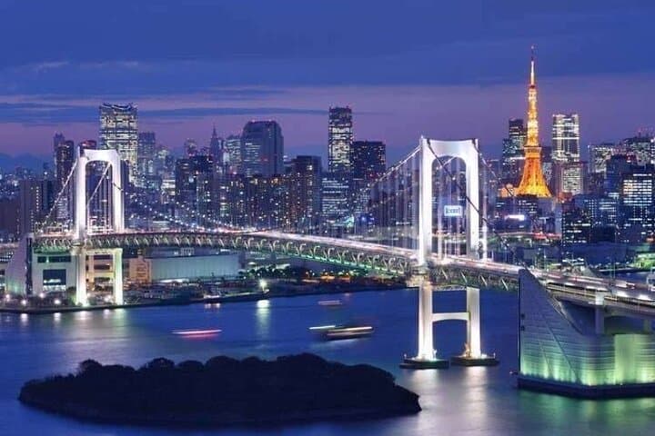 Tokyo Night Tour — Customizable Neon Nights, Senso‑ji Peace & Odaiba Views photo 5