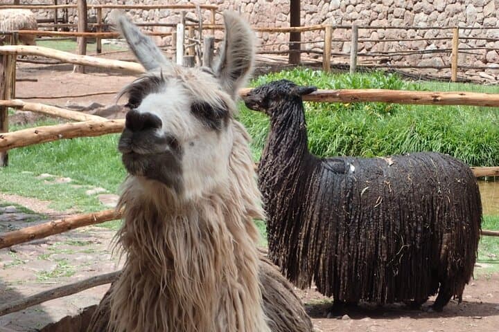 Sacred Valley to Machu Picchu: 2-Day Guided Inca Circuit photo 2