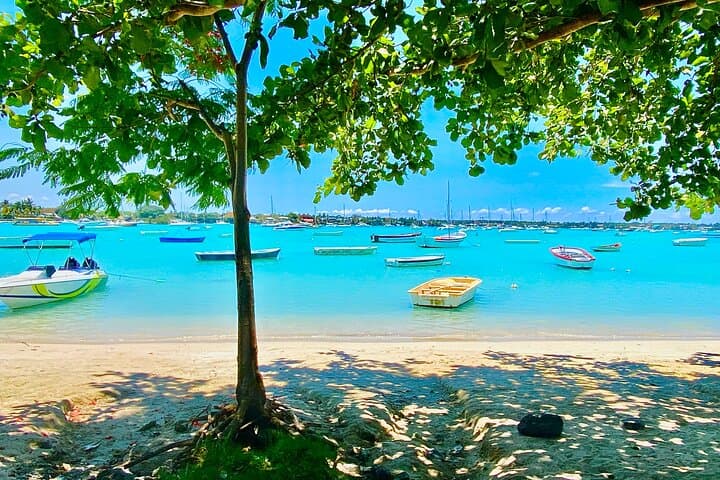 Mauritius Private North Adventure with Hotel Pick-Up — Beaches, Gardens & Colonial Sights photo 4