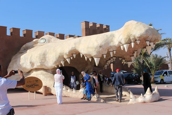 Full-Day Agadir City Tour & Crocopark: Kasbah Views, Souk El Had and Crocodiles photo 3