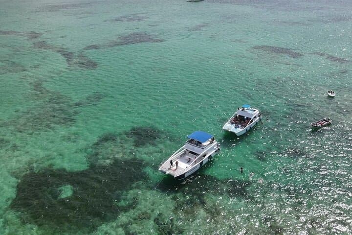 Puerto Plata Catamaran Party and Snorkel: Half-Day Sosúa Coast Excursion photo 3