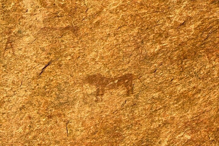 Spitzkoppe Day Tour: Namibia's Matterhorn, San Rock Art & Skeleton Coast photo 4