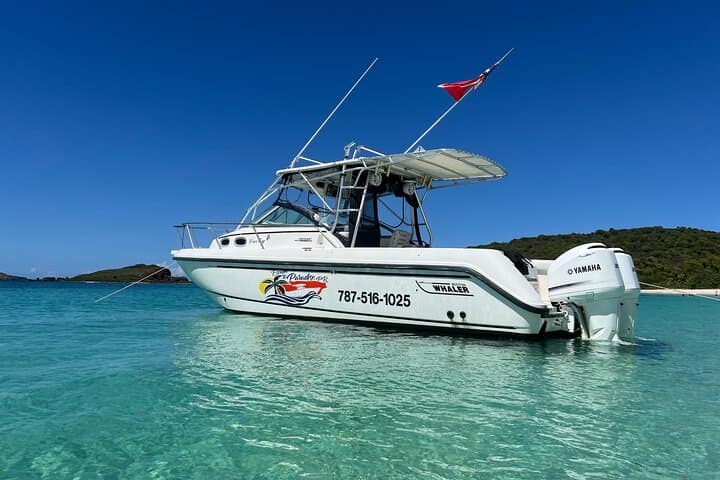 Fajardo to Culebra Snorkeling & Beach Charter — Turtles and Honeymoon Beach