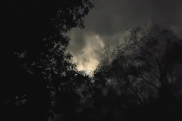 Night Jungle Tractor Tour to Hidden Waterfall, Bonfire & Dinner near Jaco photo 4