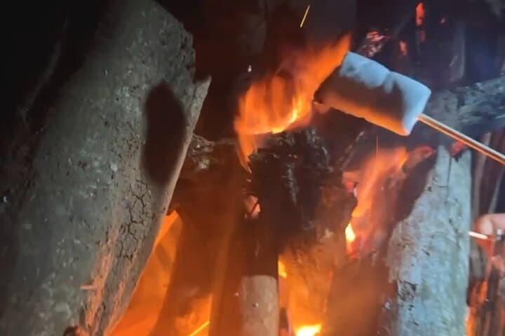 Night Jungle Tractor Tour to Hidden Waterfall, Bonfire & Dinner near Jaco photo 5