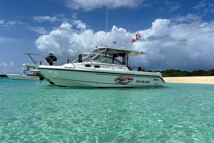Fajardo to Culebra Snorkeling & Beach Charter — Turtles and Honeymoon Beach photo 6
