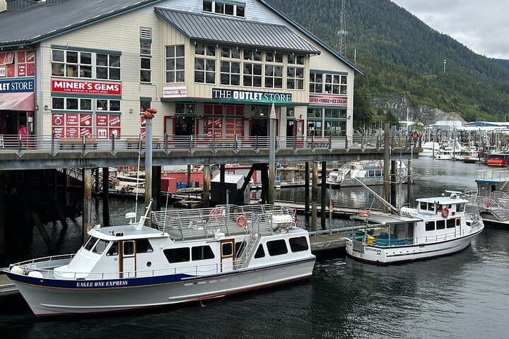 Ketchikan Whale Watching and Wildlife Viewing Quest — Tongass Narrows Excursion photo 3