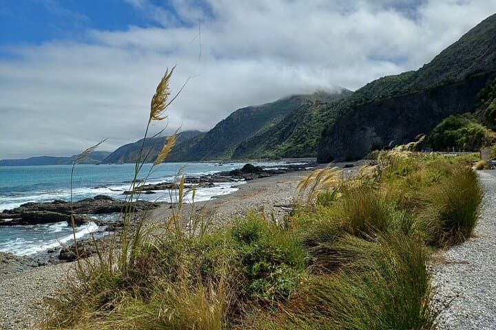 Kaikōura Day Trip from Christchurch: Coastal Walks, Seals & Whale-Watching photo 4