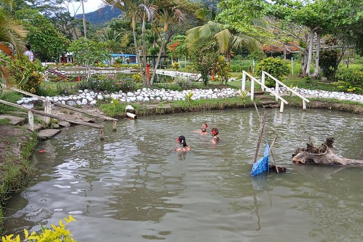 Tifajek Mud Pool & Hotspring: Natural Mud Baths Near Nadi, Fiji photo 3