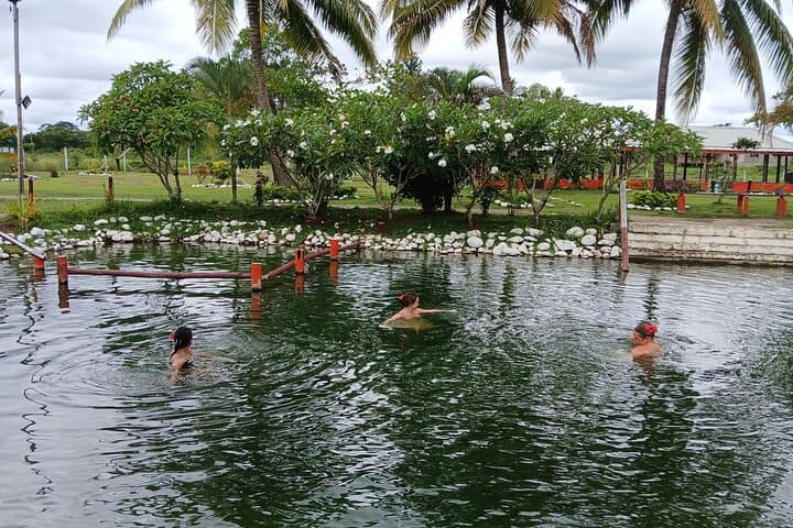 Tifajek Mud Pool & Hotspring: Natural Mud Baths Near Nadi, Fiji photo 4