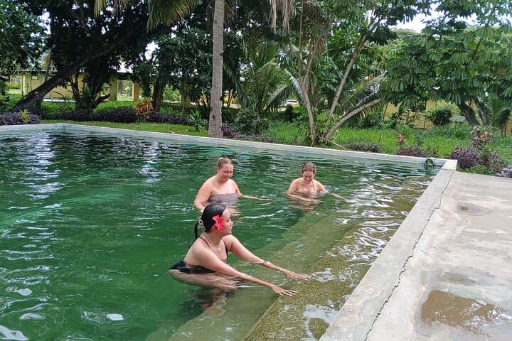 Tifajek Mud Pool & Hotspring: Natural Mud Baths Near Nadi, Fiji photo 5