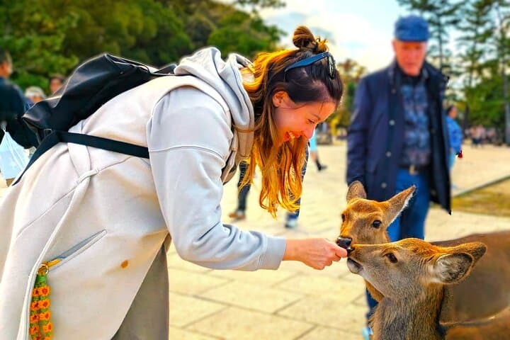 Hike Mt. Wakakusa: Deer Encounters & Panoramic Views in Nara