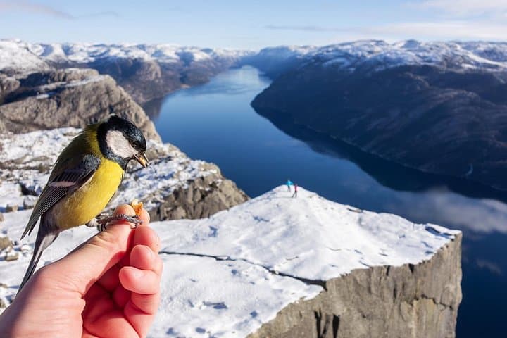 Preikestolen Winter Hike: Guided Snow Ascent to Pulpit Rock with Hot Meal photo 3