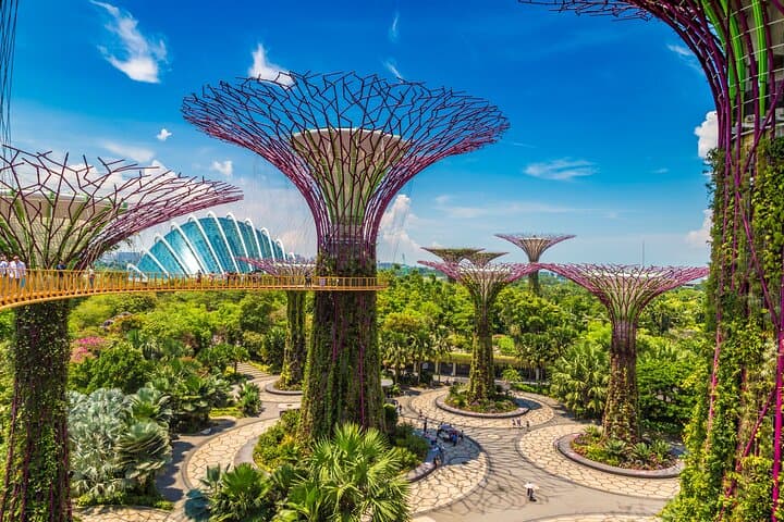 Evening River Cruise & Supertree Rhapsody: Singapore Night Lights Guide