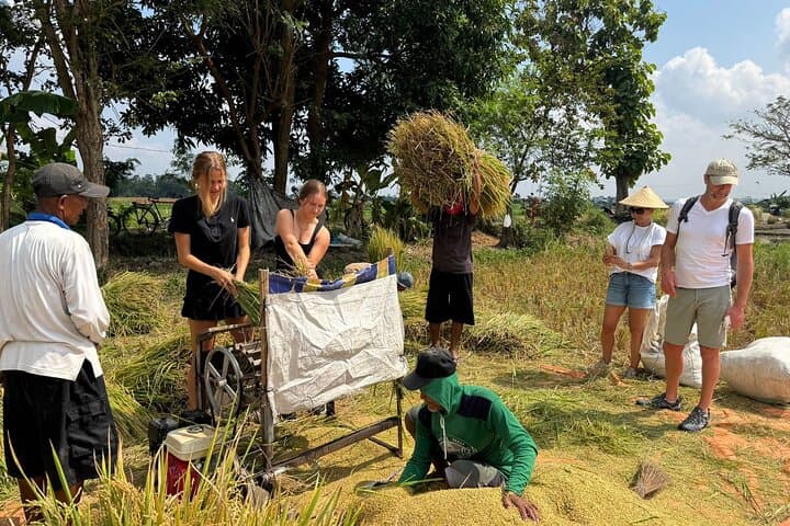 Yogyakarta Market-to-Table Cooking Class and Countryside Cycling Tour photo 1