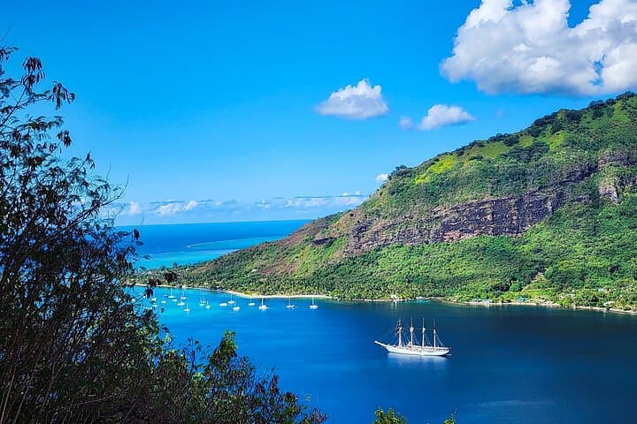 Moorea Island Highlights by Car: Belvedere, Bays & Tropical Tastings photo 5