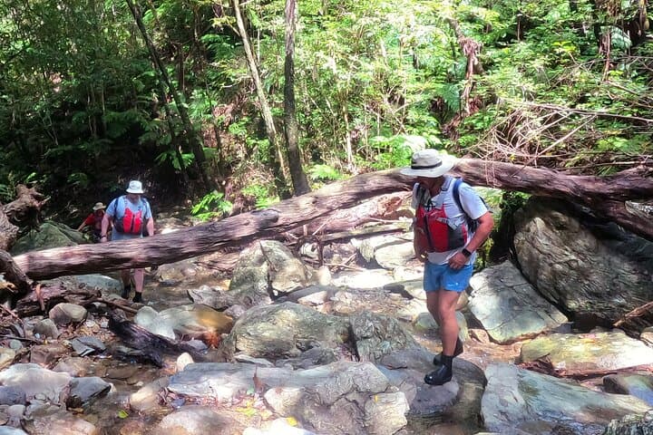 Yanbaru Jungle River Trek & Waterfall Swim — Private Okinawa Adventure photo 2