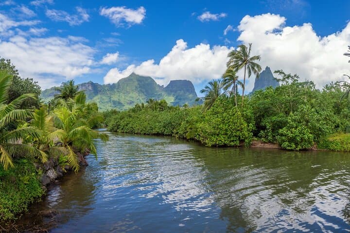 Moorea Island Highlights by Car: Belvedere, Bays & Tropical Tastings photo 6