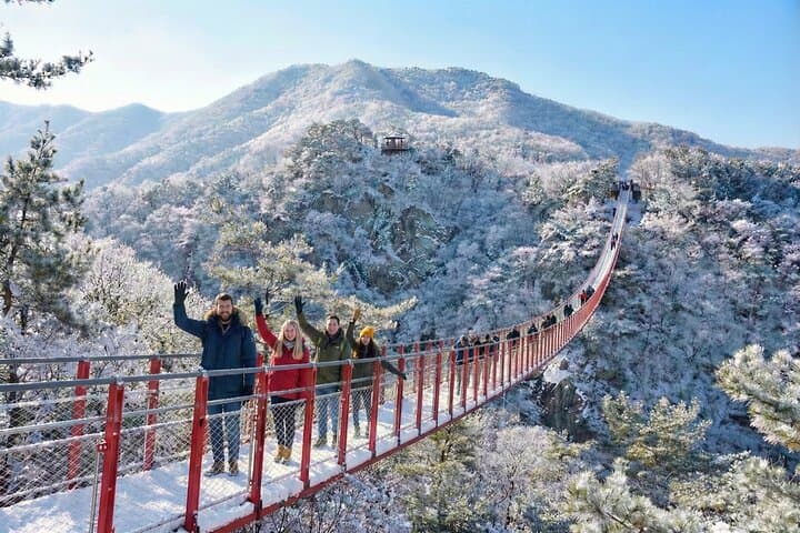 DMZ Day Tour: Third Tunnel, Dora Observatory & Gamaksan Suspension Bridge