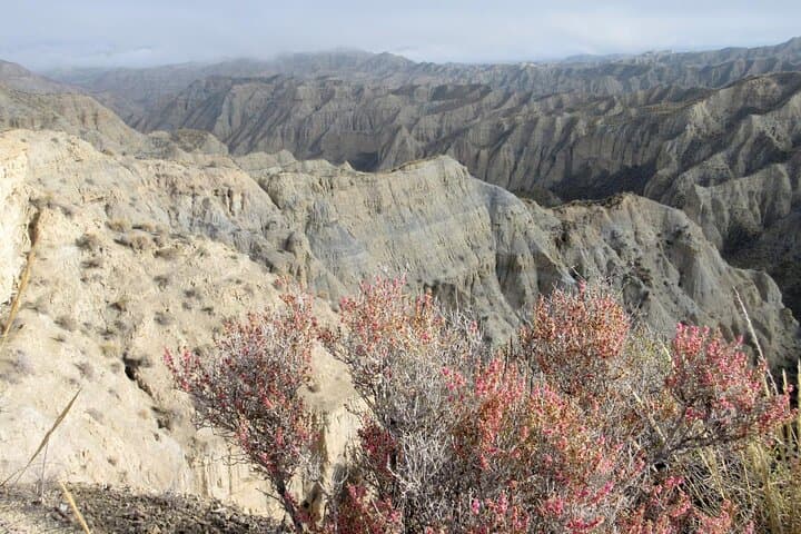Epic e-MTB Journey Across the Gorafe Desert Badlands photo 2