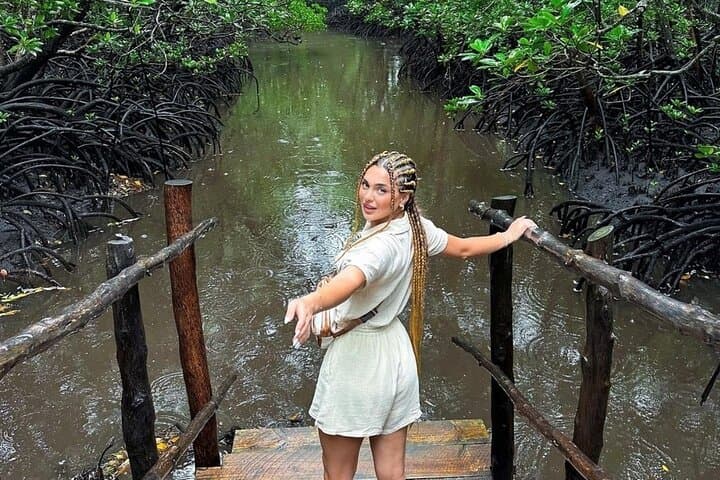 Stone Town, Jozani Forest & Sea Turtle Sanctuary: Zanzibar Day Tour Guide photo 4