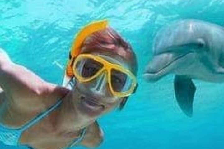 Mnemba Island Dolphins, Jozani Forest & Sea Turtle Swim — Full-Day Zanzibar Nature Trip photo 5