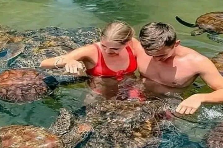 Swim with Turtles at Salaam Cave: Kizimkazi's Natural Turtle Sanctuary photo 4