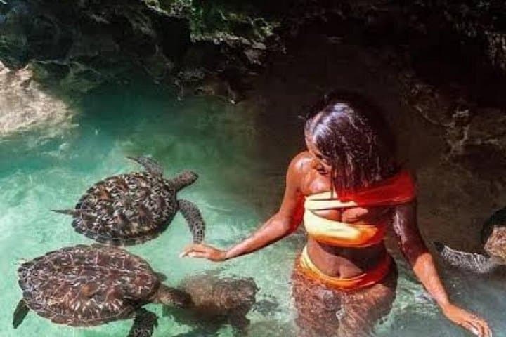 Swim with Turtles at Salaam Cave: Kizimkazi's Natural Turtle Sanctuary photo 3