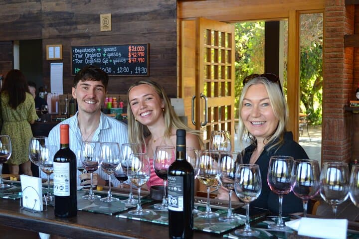 Casablanca Valley Wine Tour: 4 Vineyards & Tanino Lunch photo 2