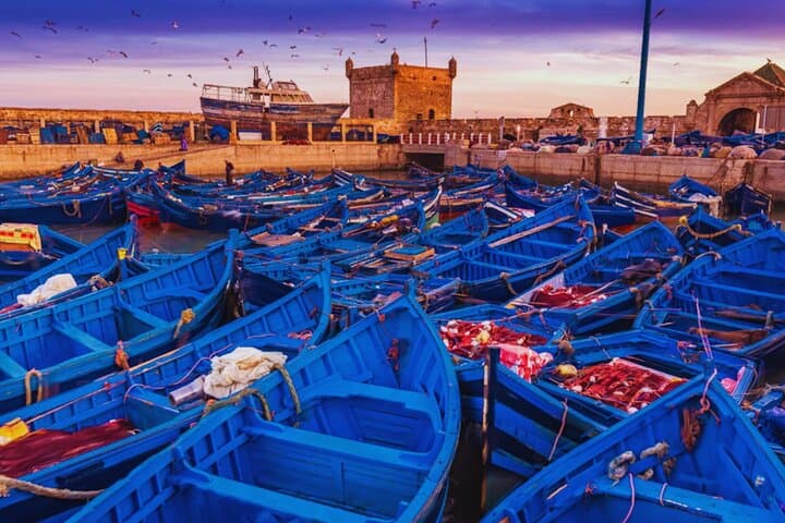 Essaouira Day Trip from Marrakech: Atlantic Ramparts, Argan Co-ops & Medinas