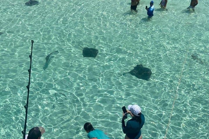 Cozumel Private El Cielo Fishing Charter: Half-Day Stingray Swim & Deep-Sea Trolling photo 4
