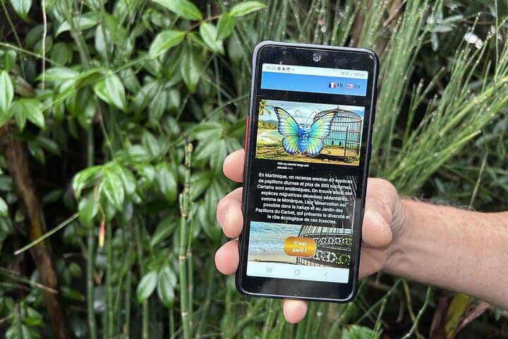 Pointe-à-Pitre Urban Game: Interactive Treasure Hunt Through the Historic Center photo 3